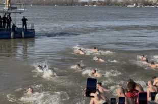 Reka Sava-plivanje na Bogojavljenje u Sremskoj Mitrovici